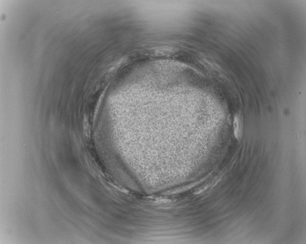 X0000058121395200510212008