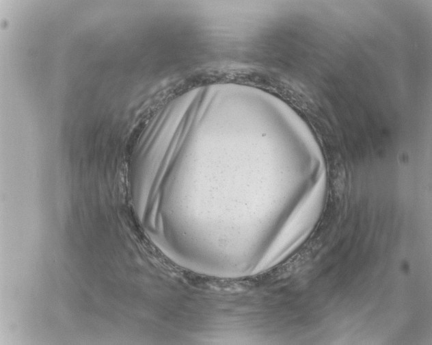 X0000058121397200510212008