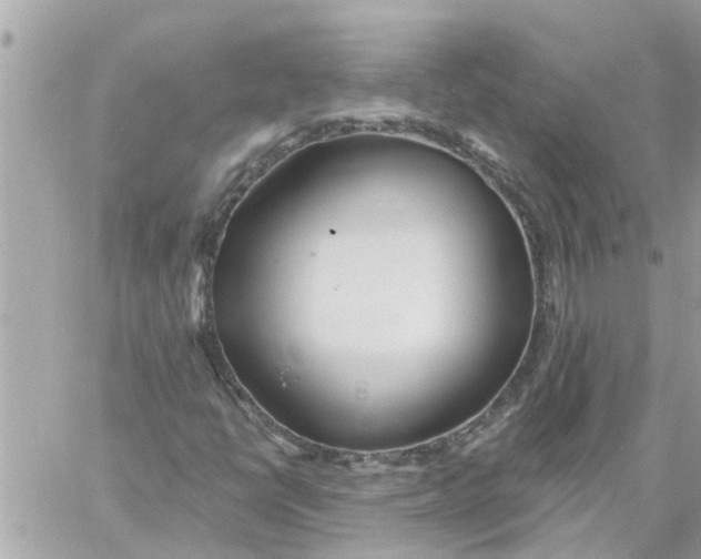 X0000058121398200510212008