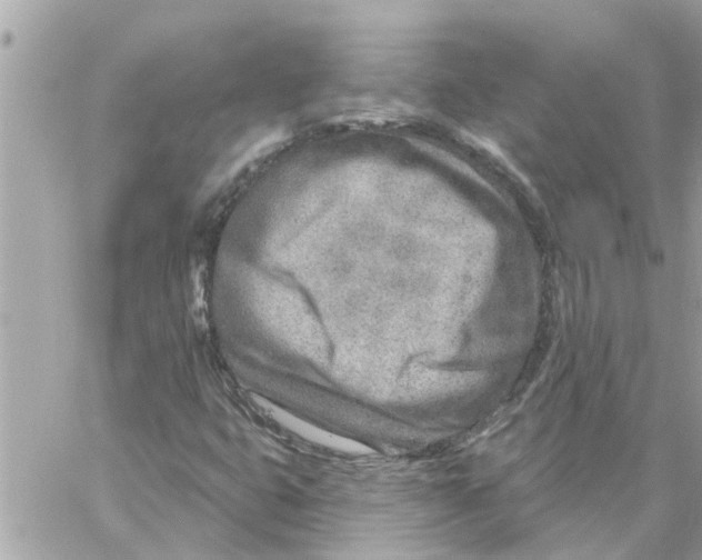 X0000058121399200510212008