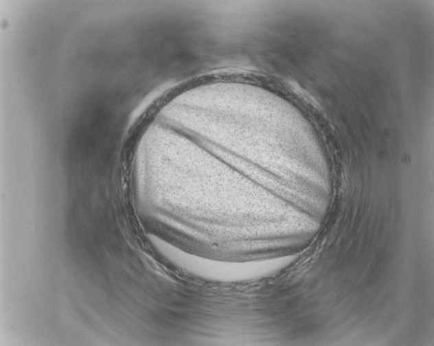 X0000058121400200510212008