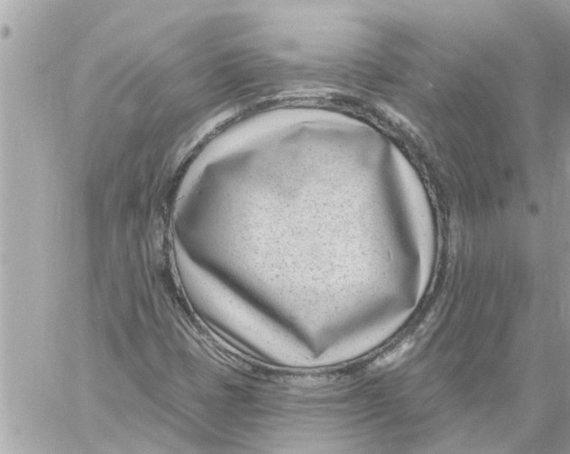 X0000058121401200510212008