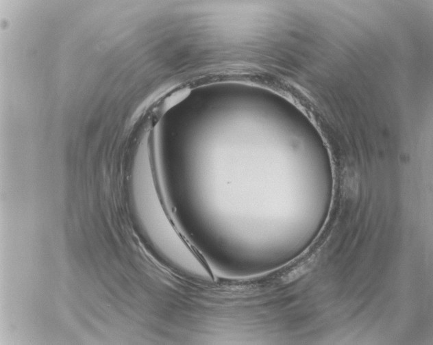 X0000058121402200510212008