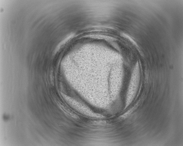 X0000058121403200510212008