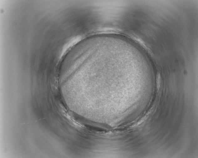 X0000058121405200510212009