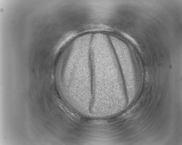 X0000058121407200510212009