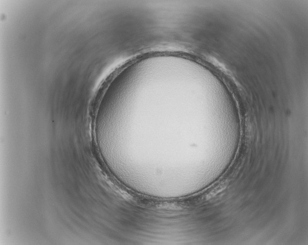 X0000058121408200510212009