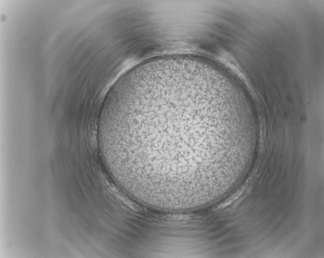 X0000058121409200510212009