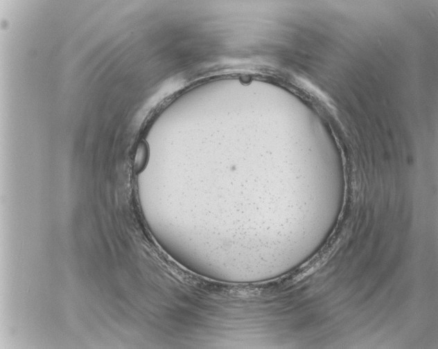 X0000058121411200510212009