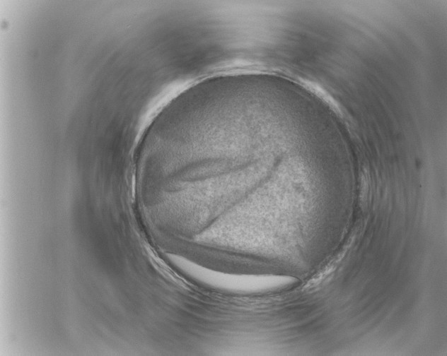 X0000058121413200510212009