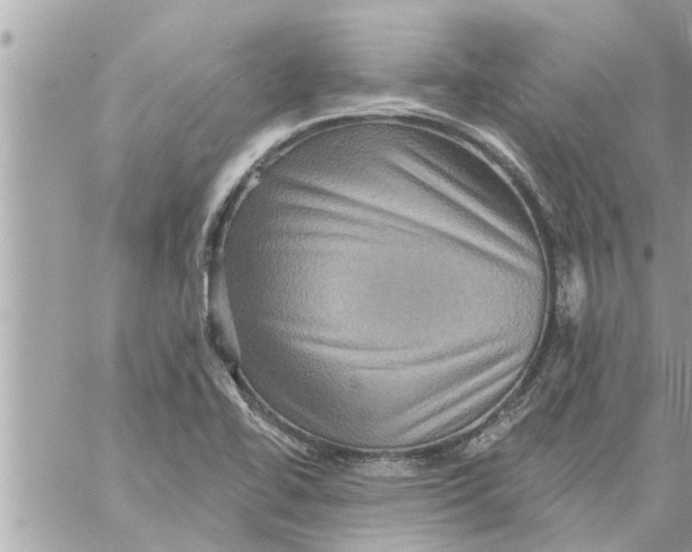 X0000058121414200510212009