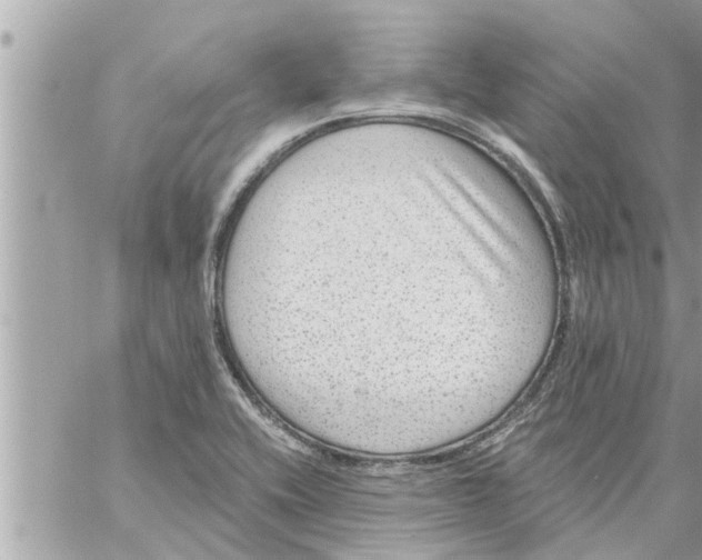 X0000058121416200510212009