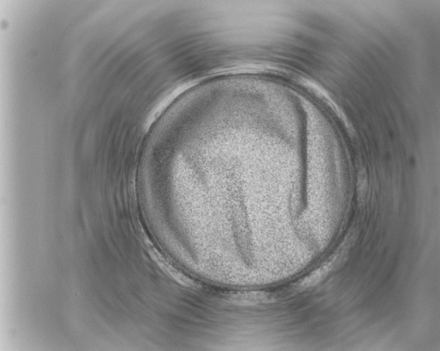 X0000058121417200510212009