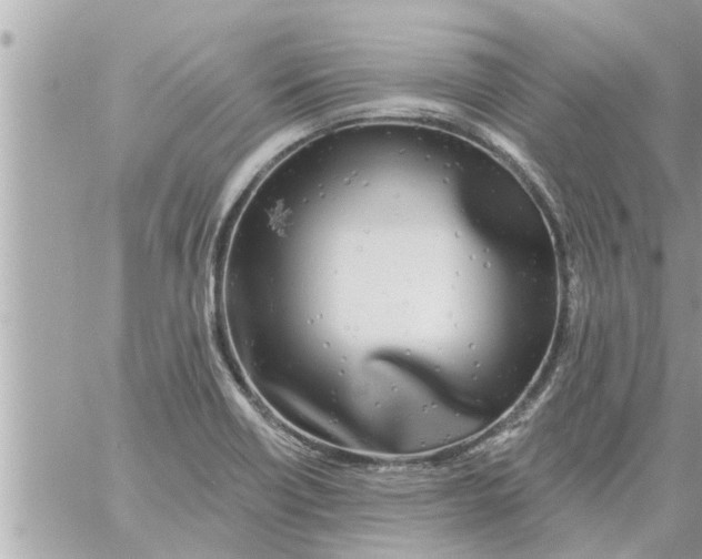 X0000058121418200510212009