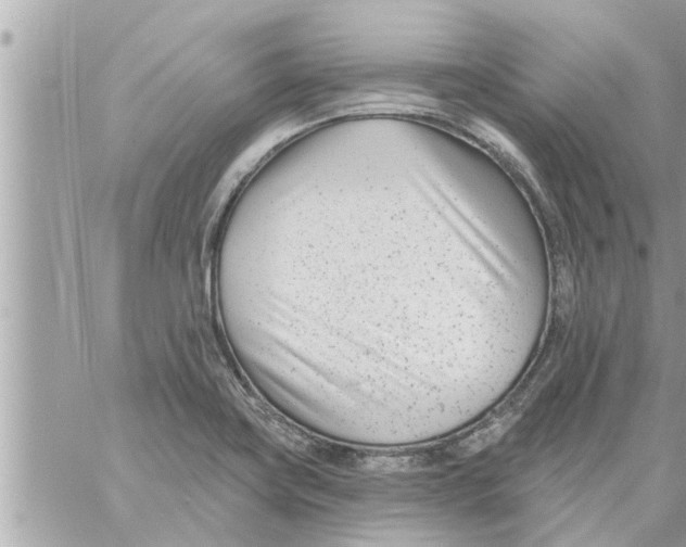 X0000058121419200510212009