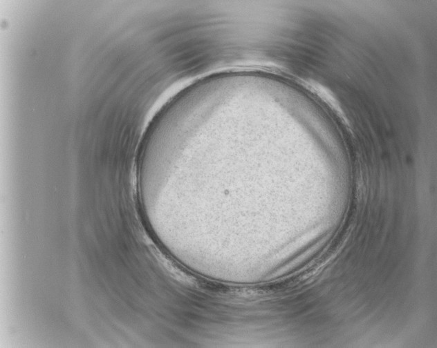 X0000058121420200510212009