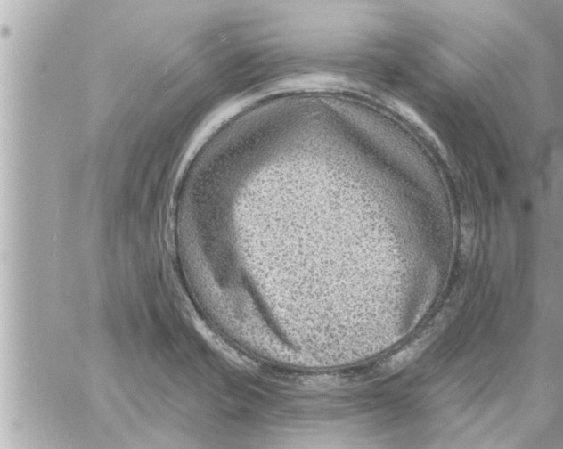 X0000058121421200510212009