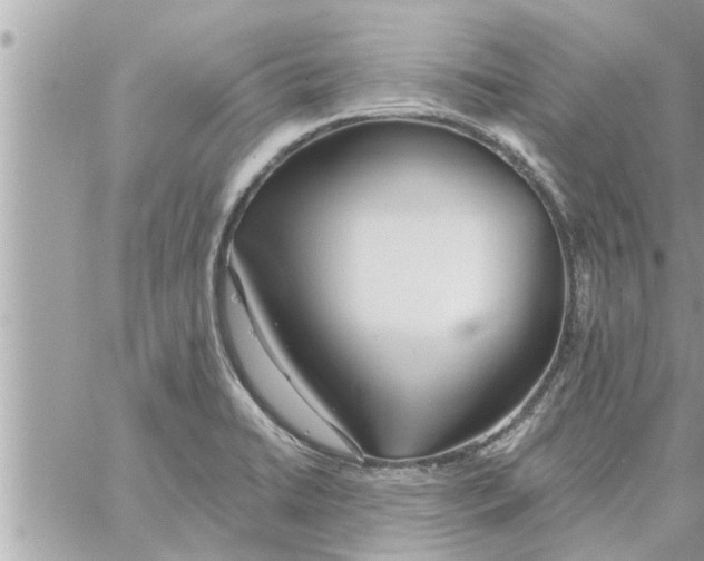 X0000058121422200510212009