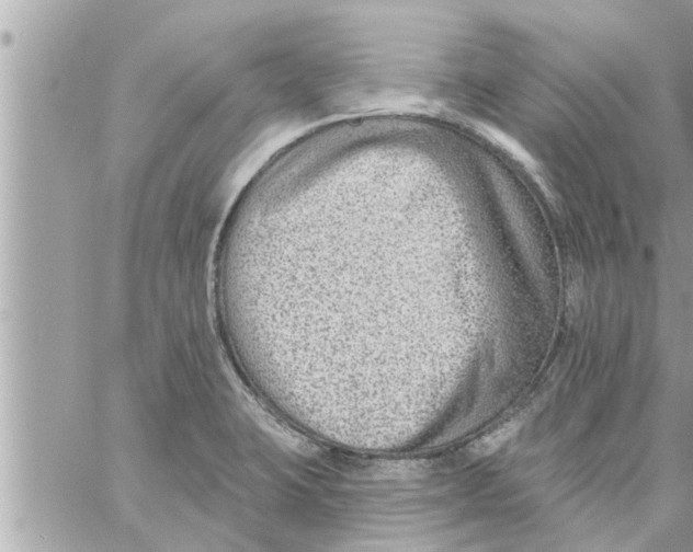 X0000058121423200510212009