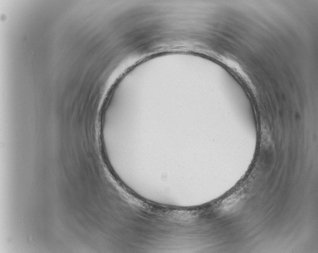 X0000058121424200510212009