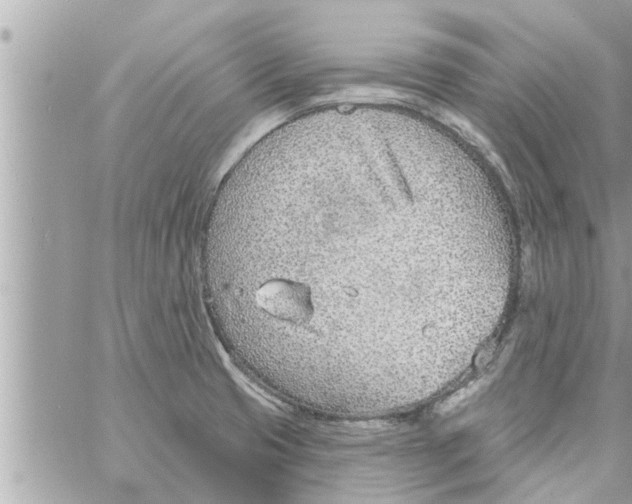 X0000058121425200510212009