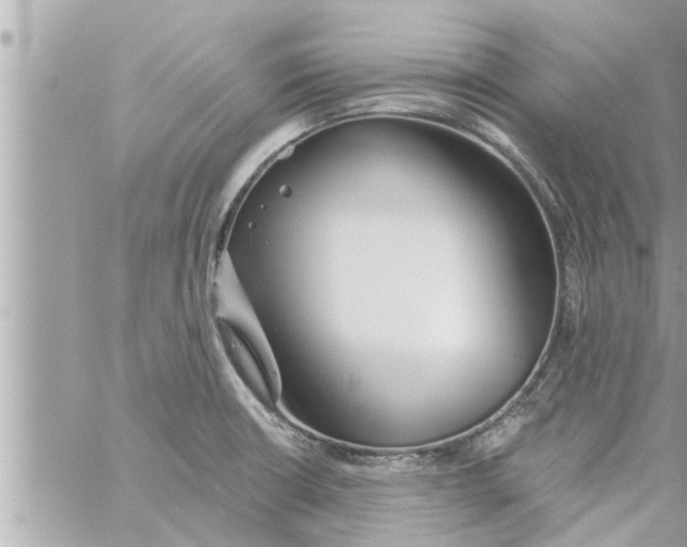 X0000058121426200510212009