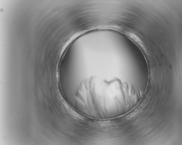 X0000058121428200510212009