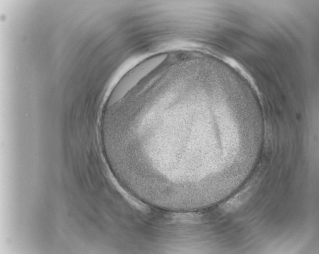 X0000058121429200510212009