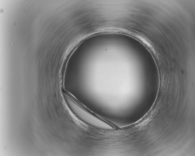 X0000058121430200510212009