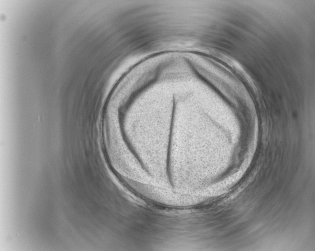 X0000058121432200510212009