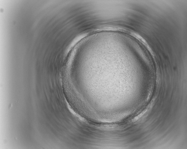 X0000058121433200510212009