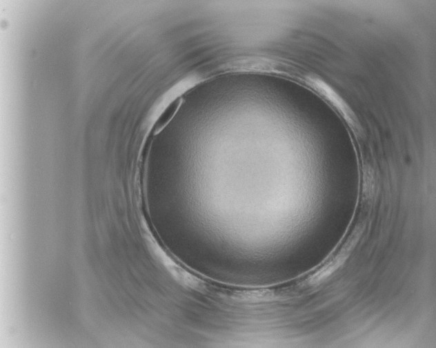 X0000058121434200510212009