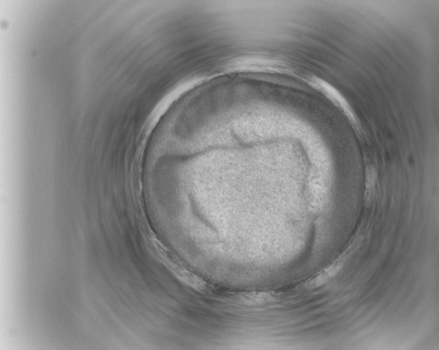 X0000058121435200510212009