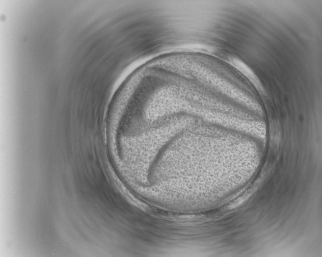 X0000058121436200510212009