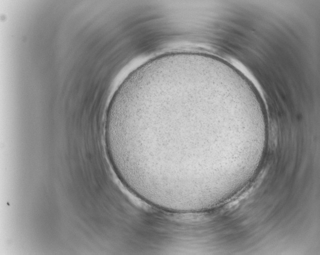 X0000058121437200510212009