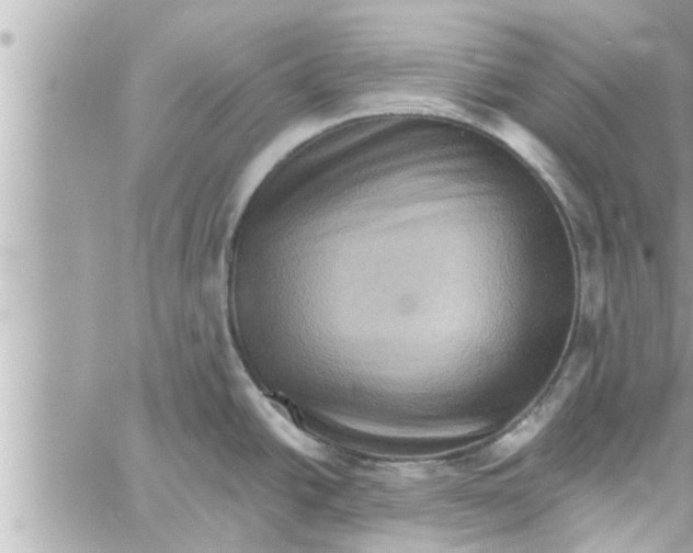 X0000058121438200510212009