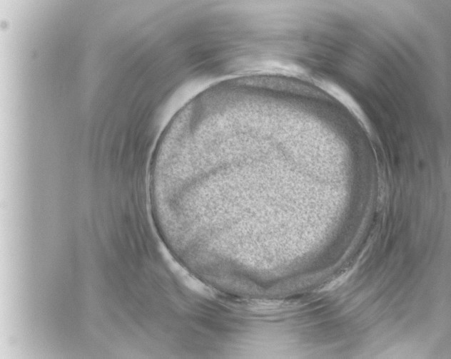 X0000058121439200510212009