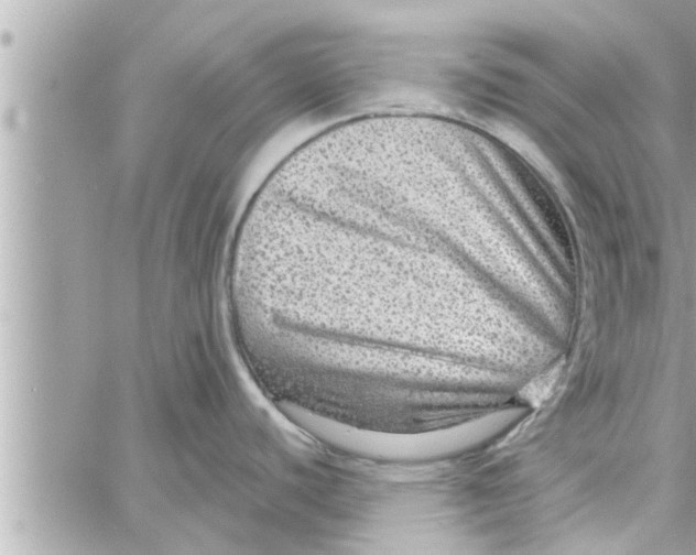 X0000058121440200510212009