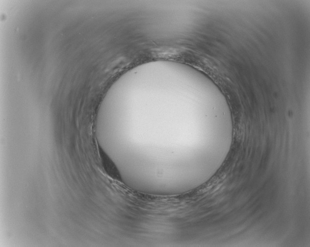 X0000058121441200510212008