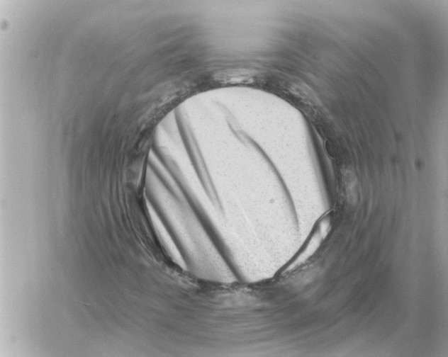 X0000058121442200510212008