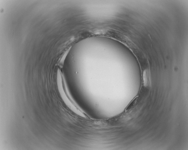 X0000058121443200510212008