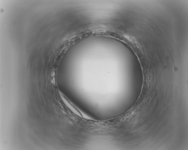 X0000058121445200510212008