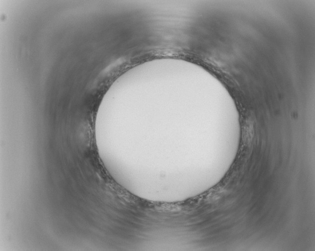 X0000058121446200510212008