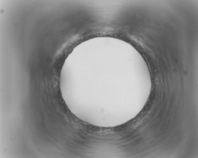 X0000058121447200510212008