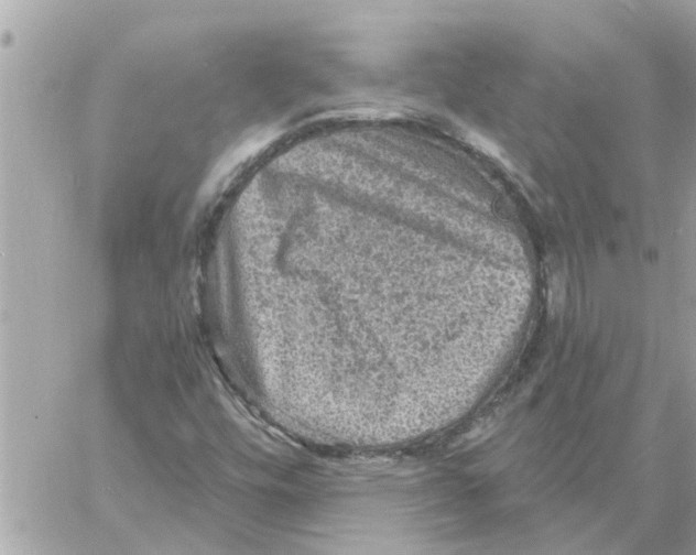 X0000058121448200510212008