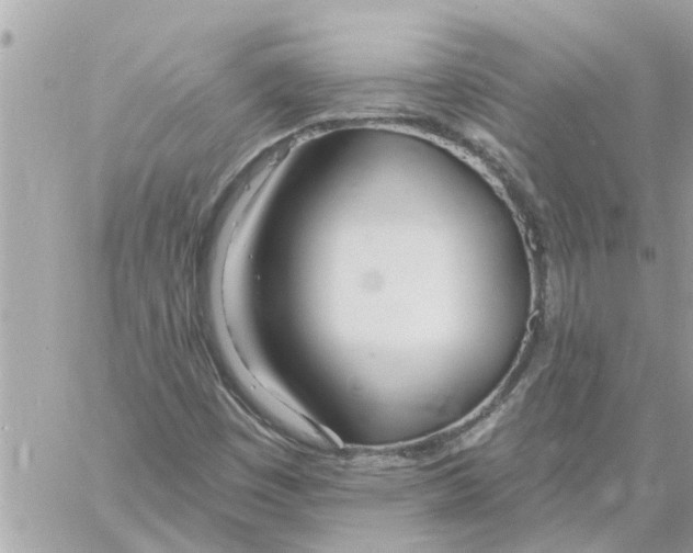 X0000058121449200510212008