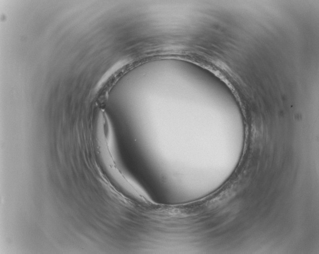 X0000058121450200510212008