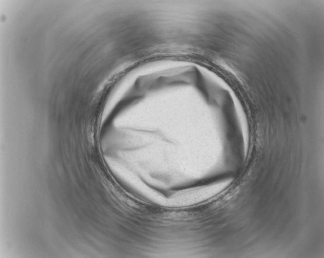 X0000058121451200510212008