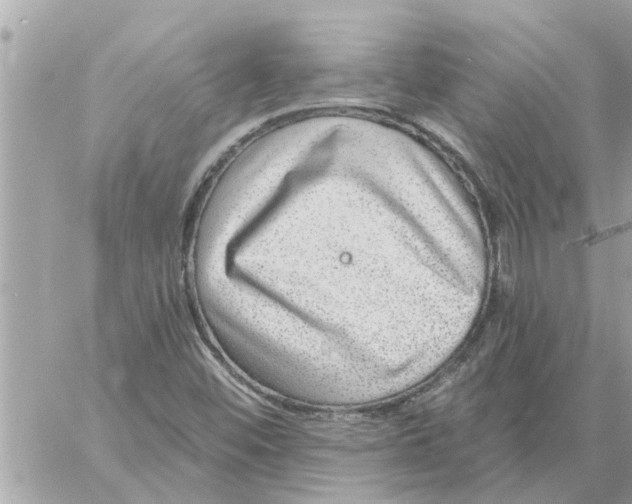 X0000058121452200510212008