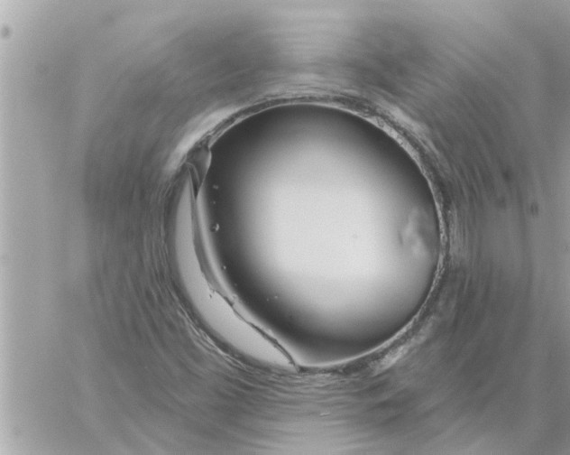 X0000058121453200510212008